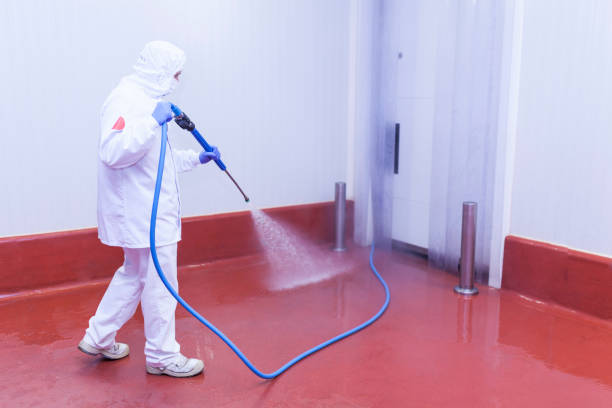 Professional Pressure Washing in Parrish, AL