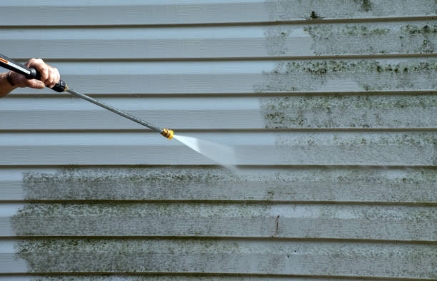 Best Sidewalk and Walkway Cleaning  in Parrish, AL